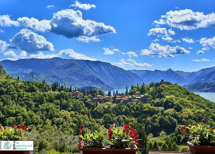 Casa Iris