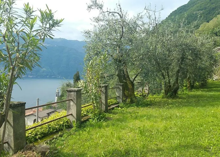 Gli Ulivi Di Nesso