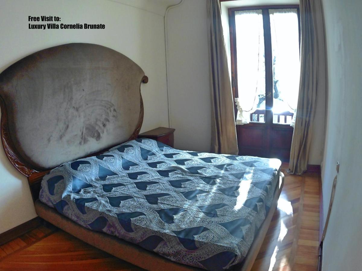 Luxury Villa Olmo