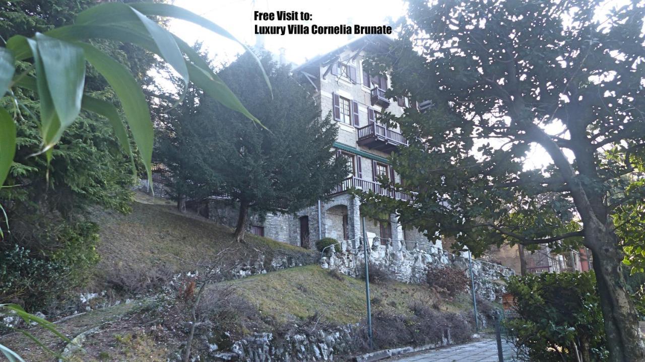 Luxury Villa Olmo Apartment *