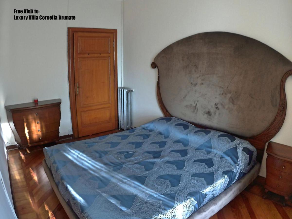 Luxury Villa Olmo *