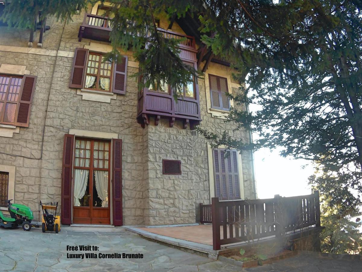 Luxury Villa Olmo