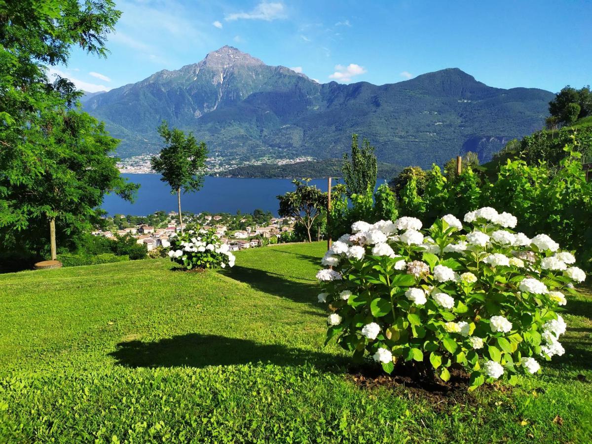 Camping Colle Vento Campsite
