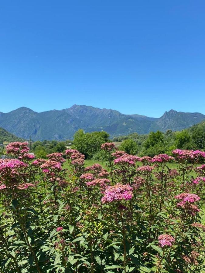 Foresteria Lombarda Da Colombina Affittacamere *