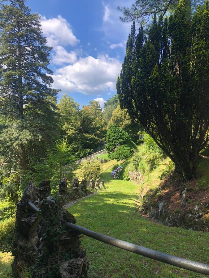 Lodge Luxury Cornelia Brunate