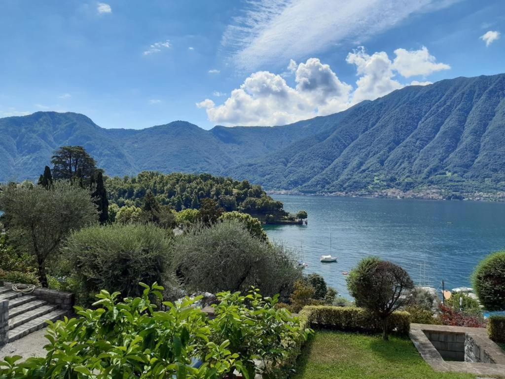 Apartment Big With View And Two Bedrooms *