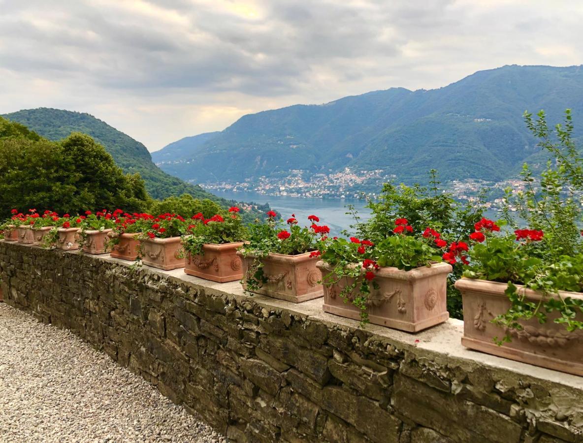 Le Ortensie Faggeto Lario