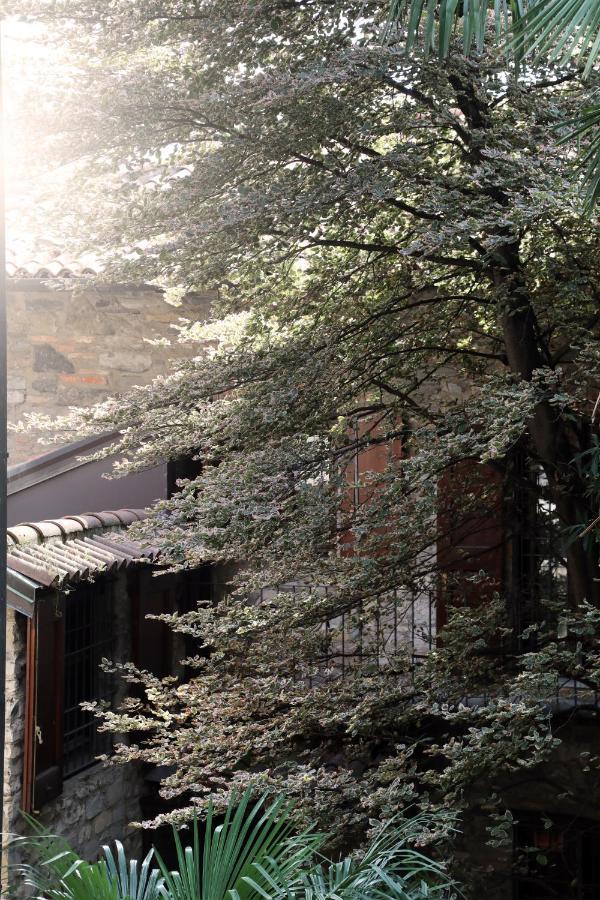 Suites&atelier Guest house