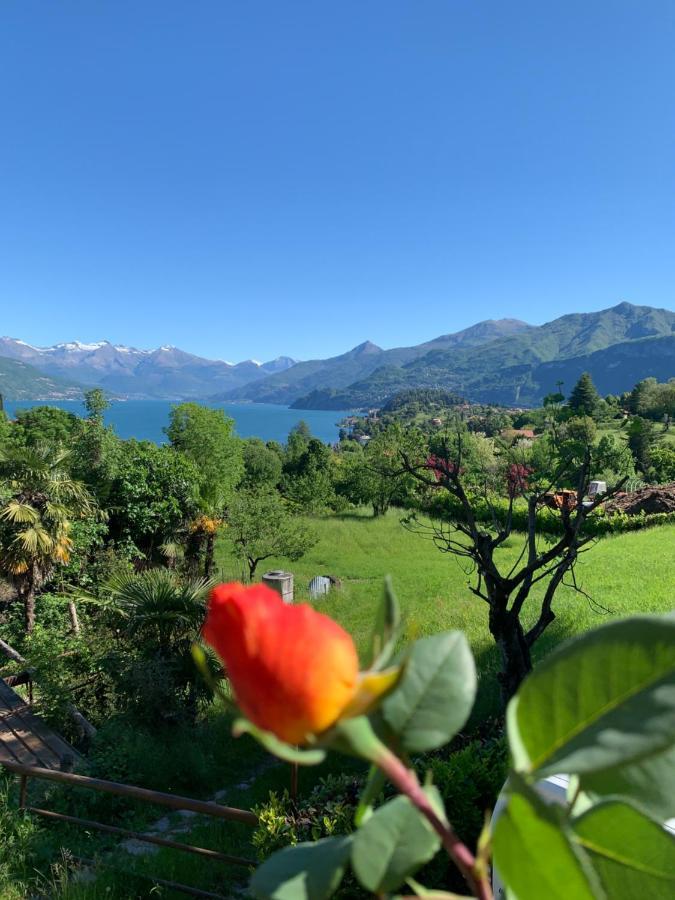 Rose Appartamento Bellagio