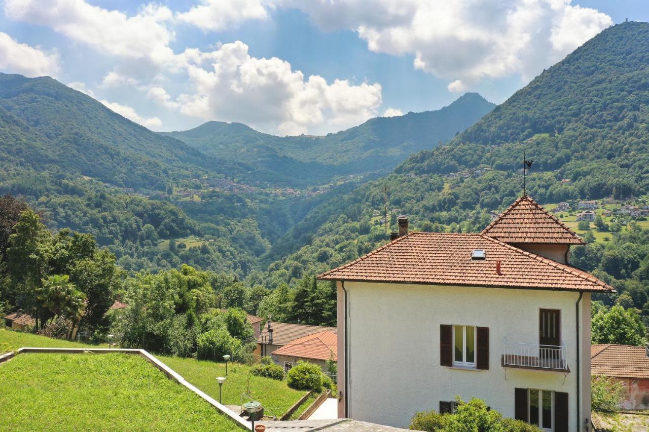 Apartment Oleandra With Garden&swimming Pool Dizzasco
