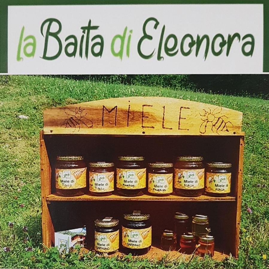 Eleonora Farm stay