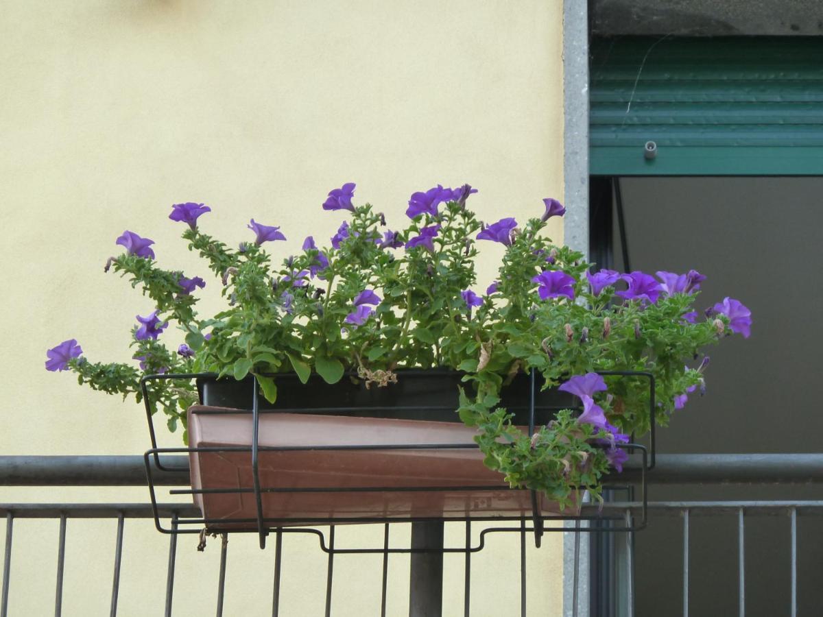 La Casa Delle Ortensie Bed & Breakfast