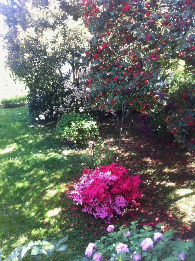 Corti Bed & Breakfast *