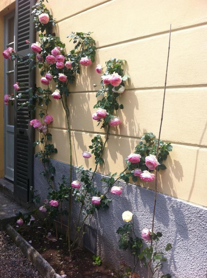 Corti Lakeview Bed & Breakfast