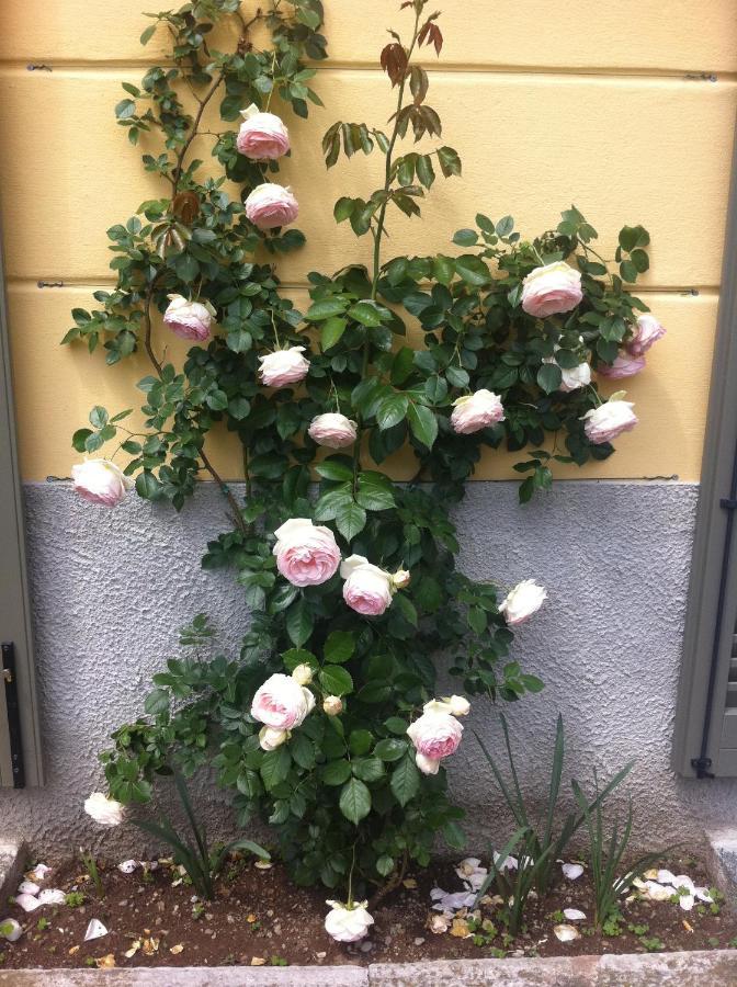 Corti Lakeview Bed & Breakfast *