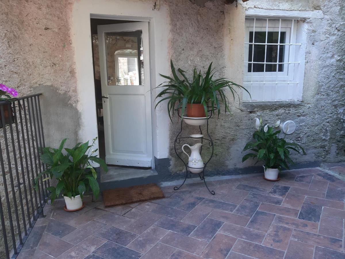 Il Mulino Di Aurora Bed & Breakfast Dosso del Liro