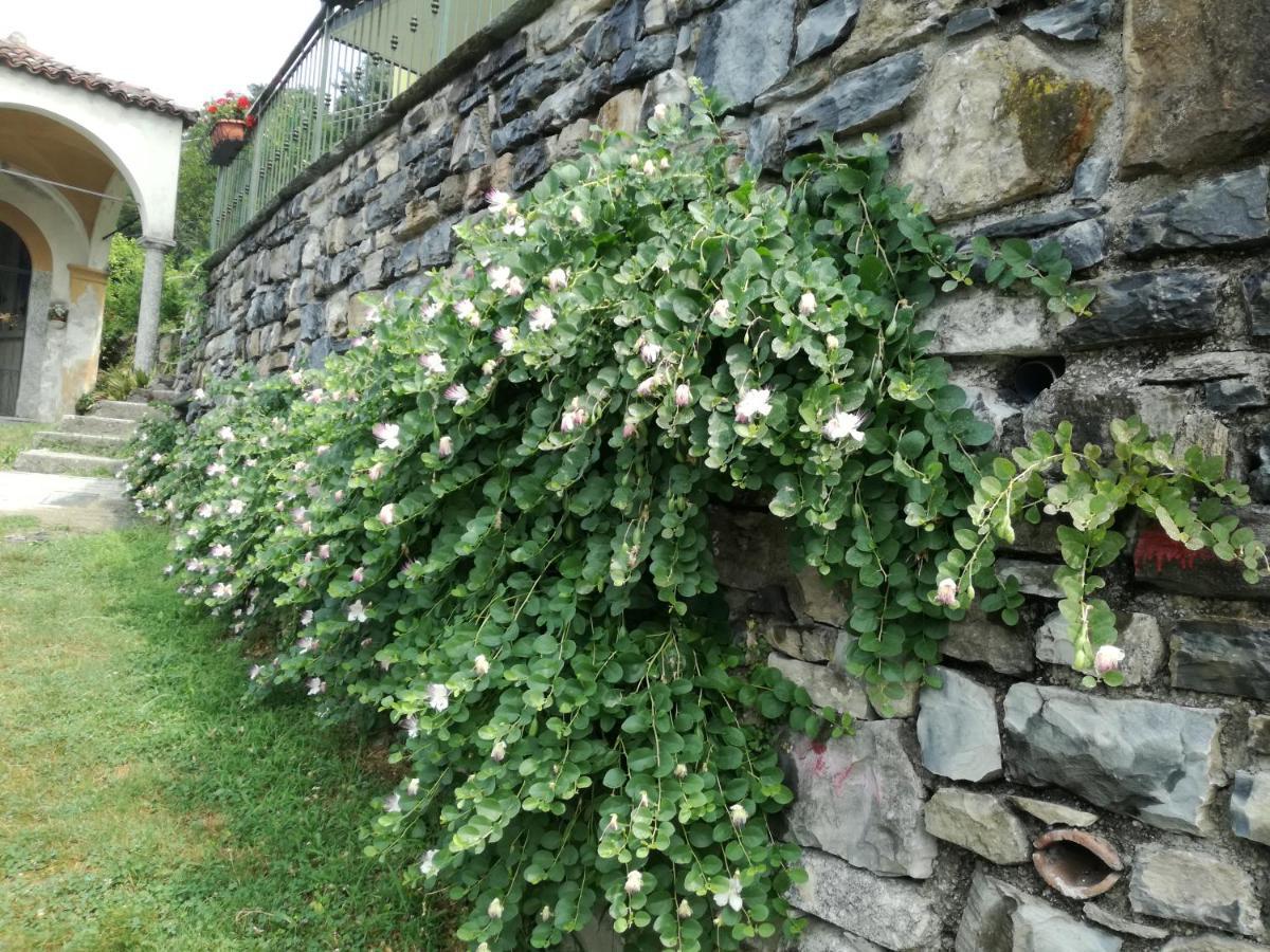 Balcone Dei Limoni *