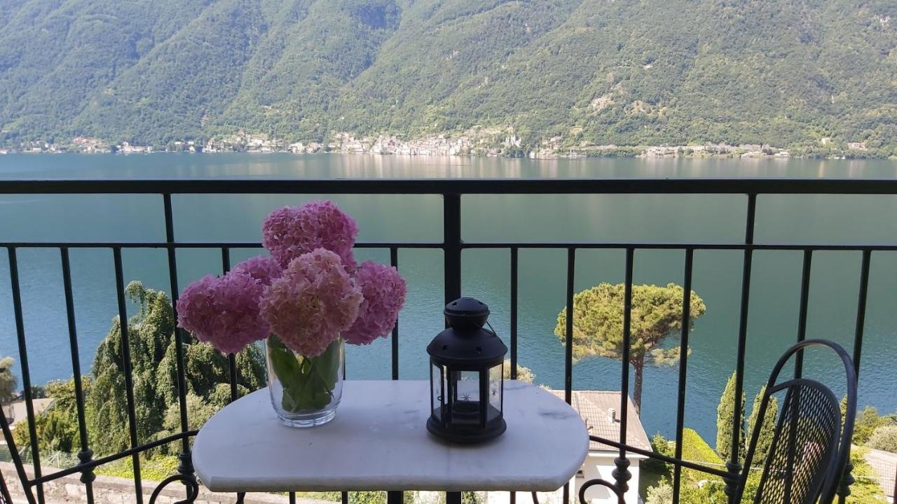 Apartment Balcone Dei Limoni