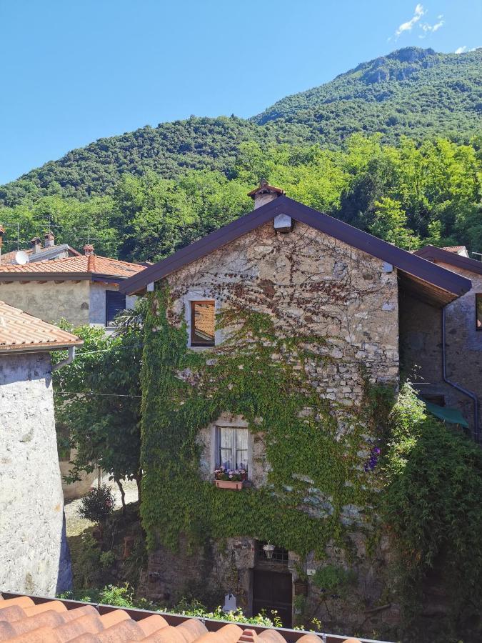 Torre Del Barbarossa Foresteria Bed & Breakfast