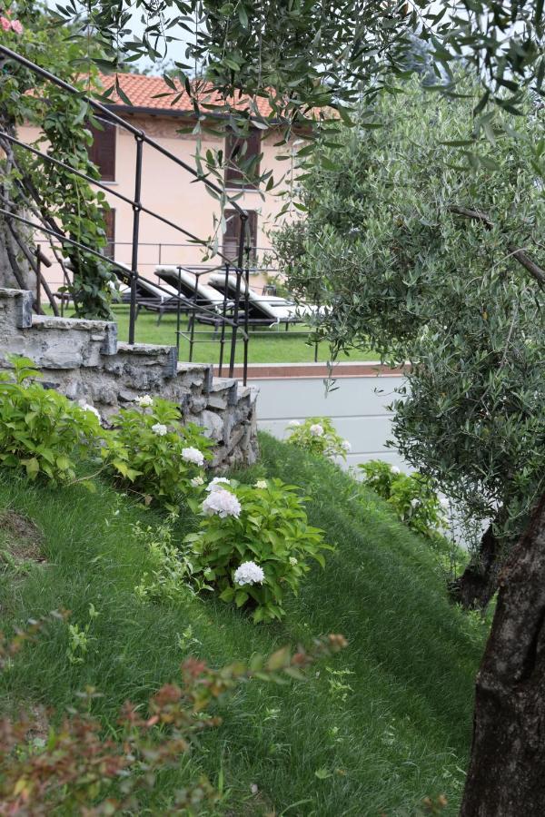 Mojana Bellagio Hotel Oliveto Lario