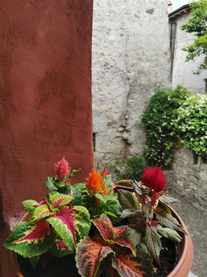 Torre Del Barbarossa Foresteria *