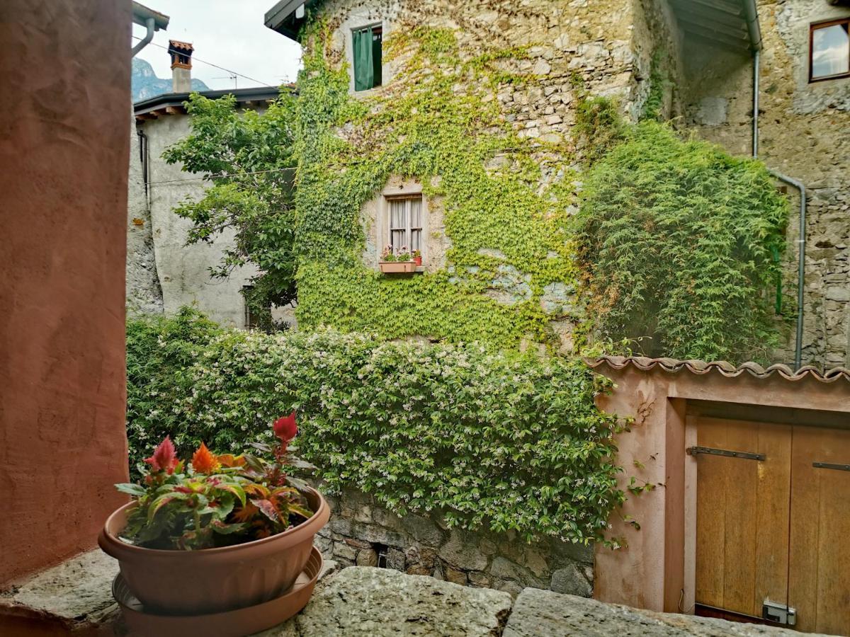 Torre Del Barbarossa Foresteria Bed & Breakfast *