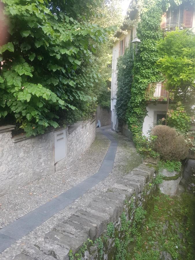 Apartment Domus Alba