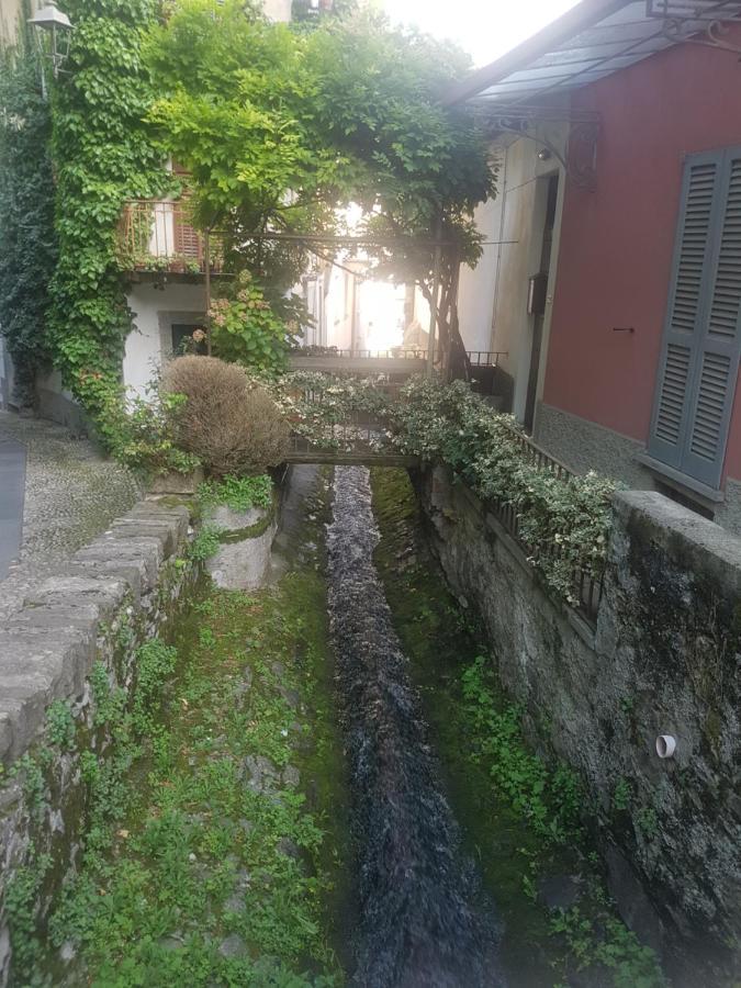 Apartment Domus Alba