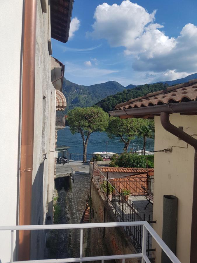 Apartment Domus Alba *