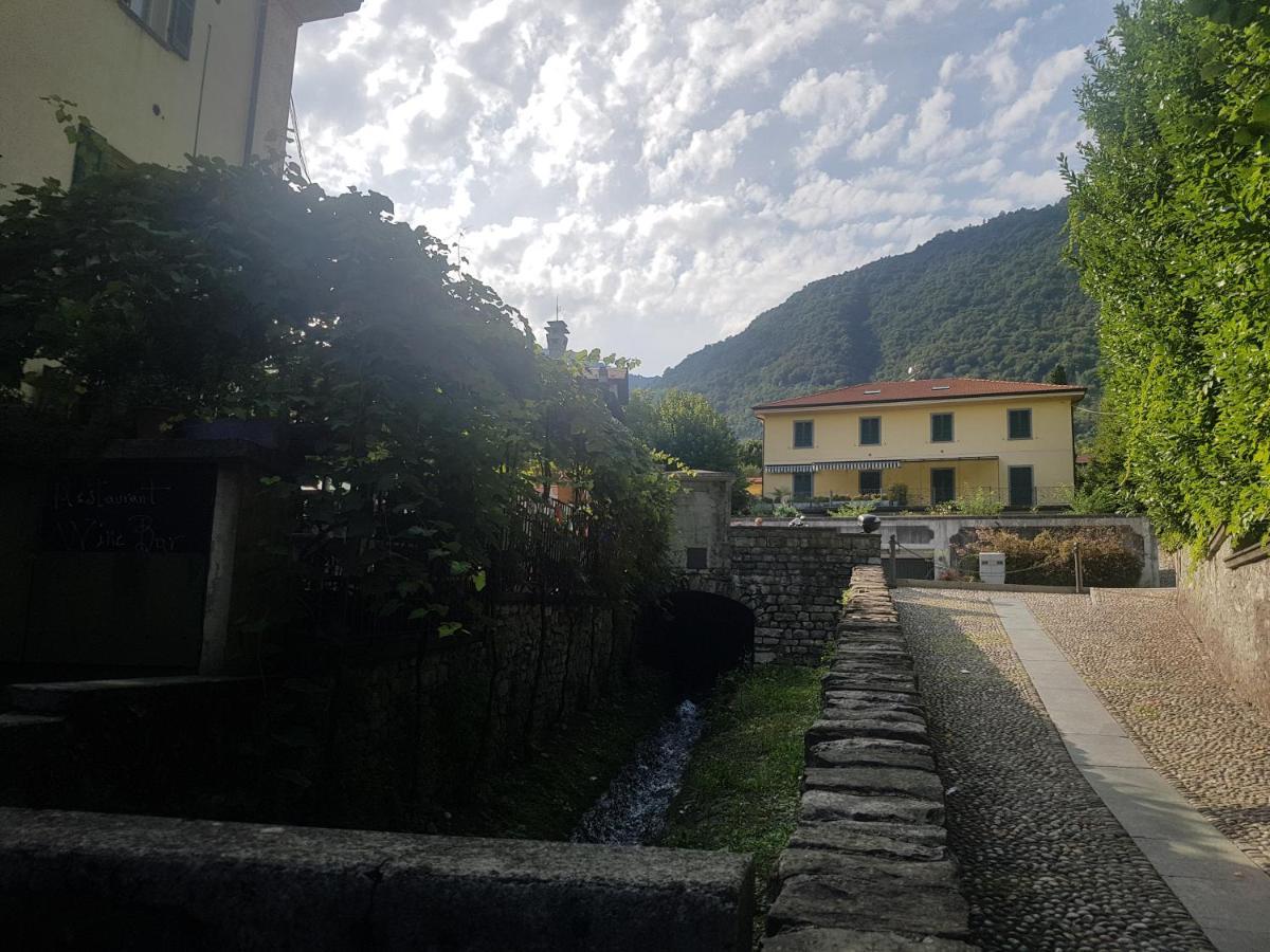 Domus Alba *