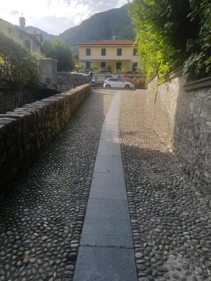 Domus Alba Apartment