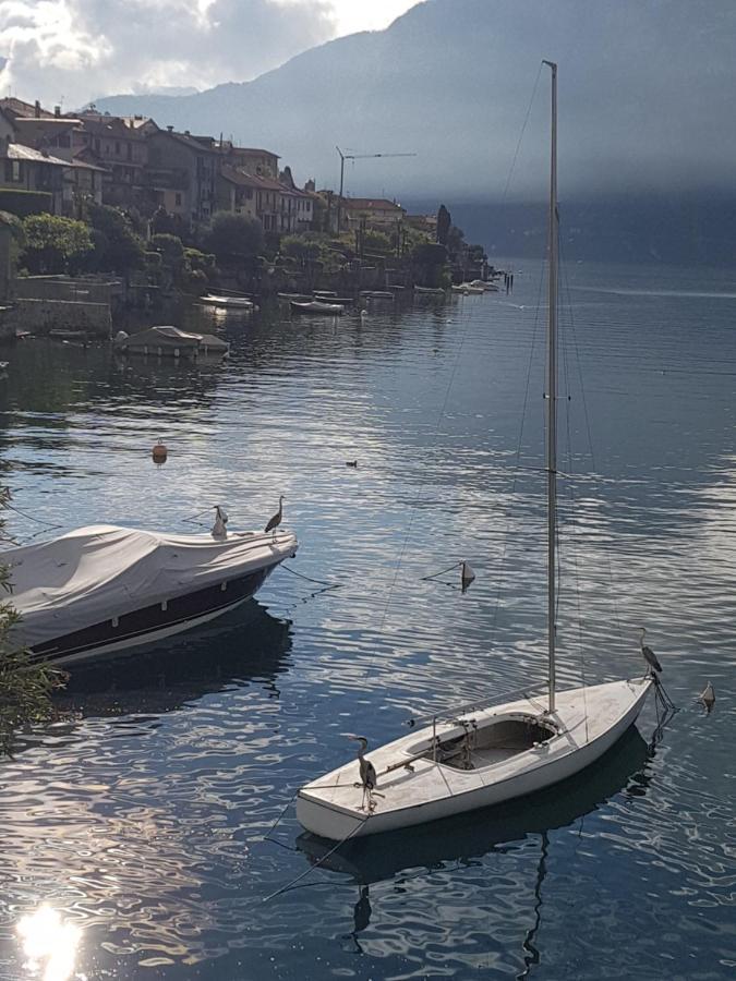 Apartment Domus Alba Lenno