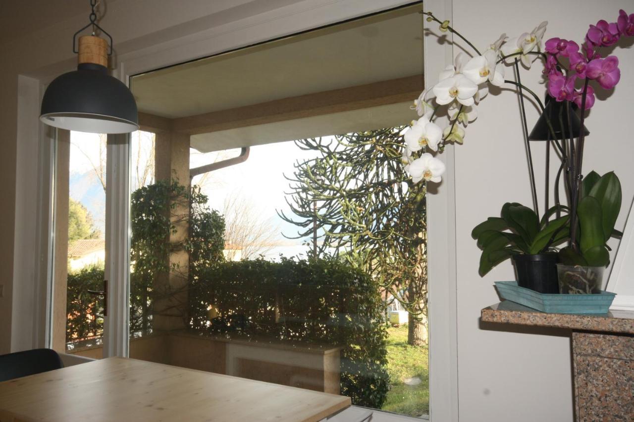 Badalone Apartment