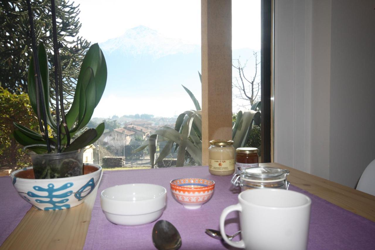 Apartment Badalone *