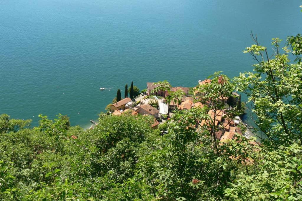 Luci Sul - A Real Paradise Apartment *