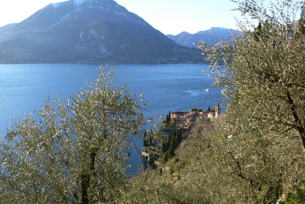 Luci Sul - A Real Paradise Perledo