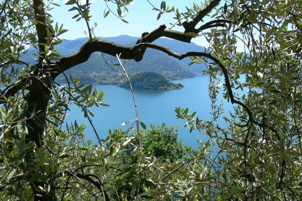 Luci Sul - A Real Paradise Apartment