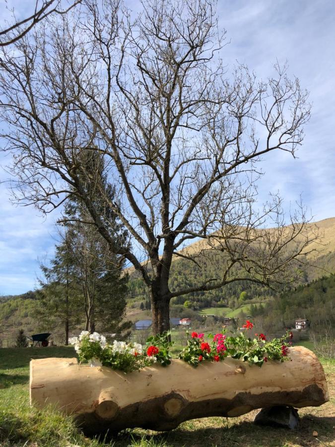 Le Petit Vent Bed & Breakfast