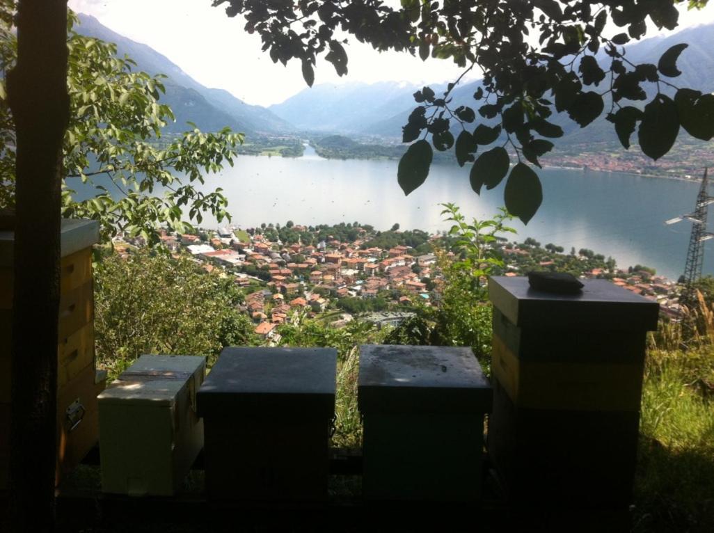 Badalone Apartment Domaso
