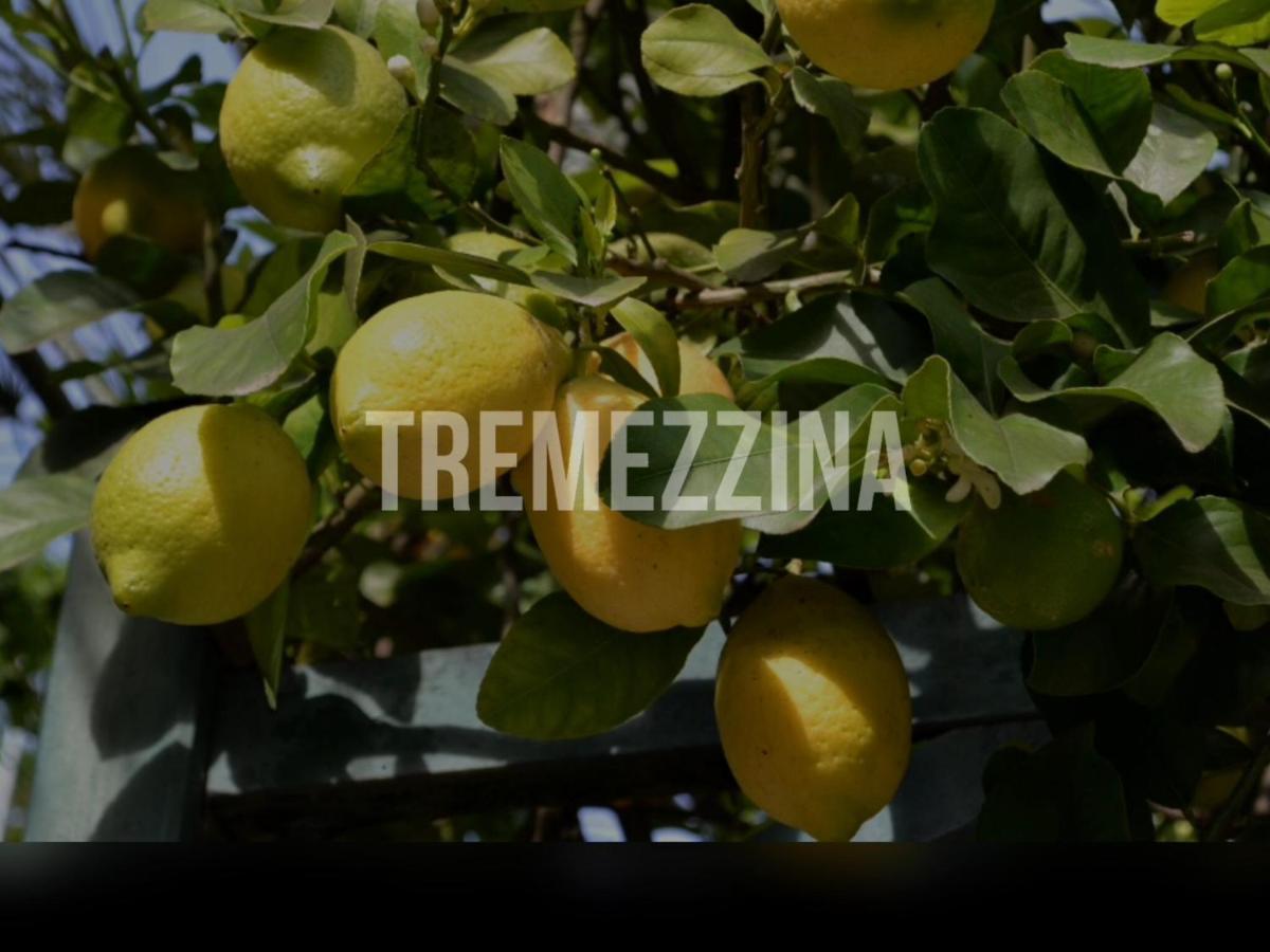 Il Nido Nella Quiete *