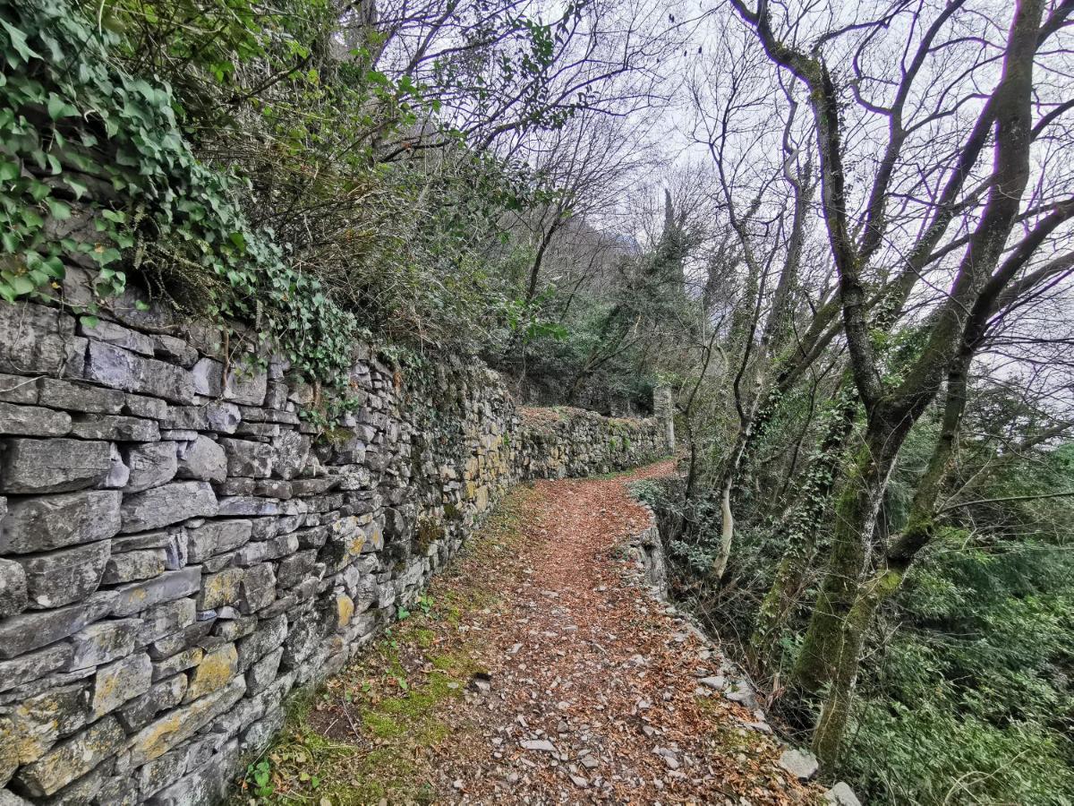 Near Monastero And Castello Di Vezio Varenna
