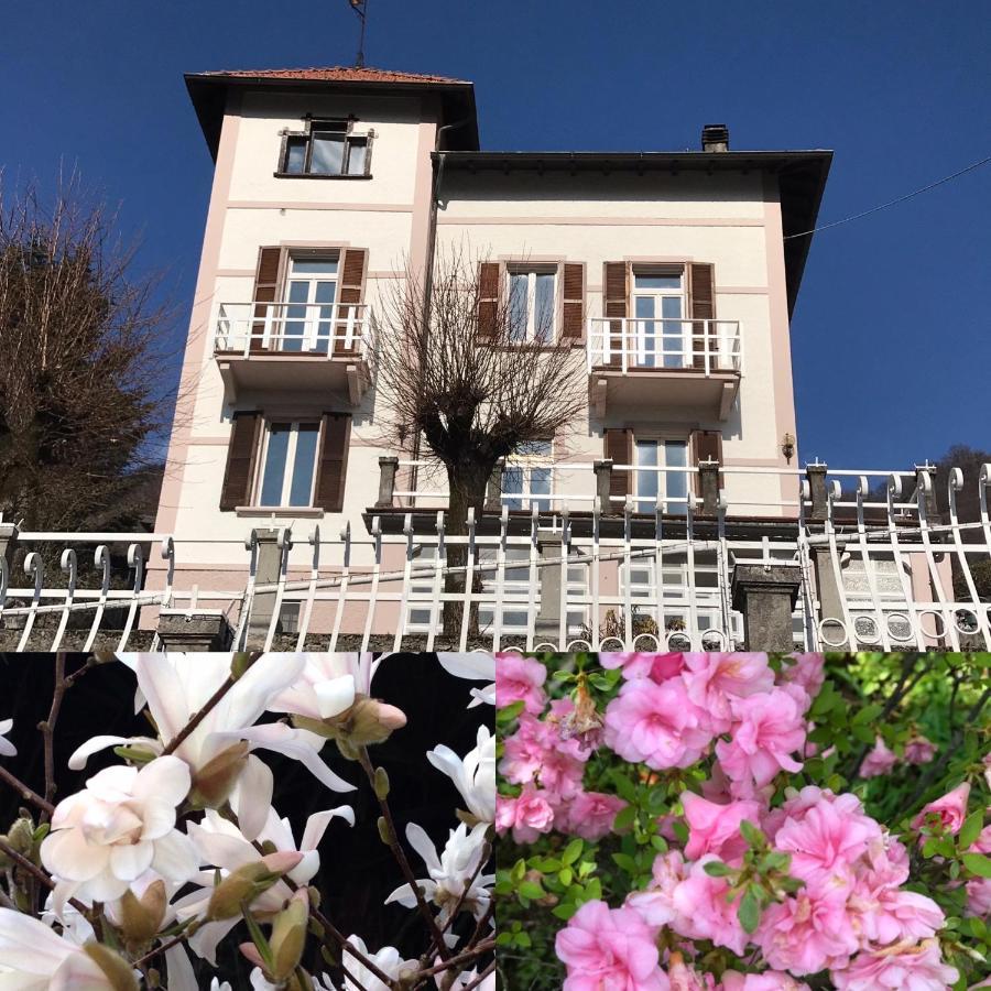 Oleandra Vip With Garden&swimming Pool Lodge Dizzasco