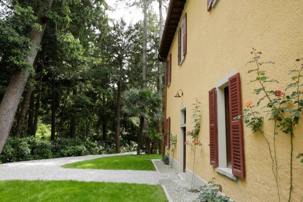 Nel Parco Di Erba