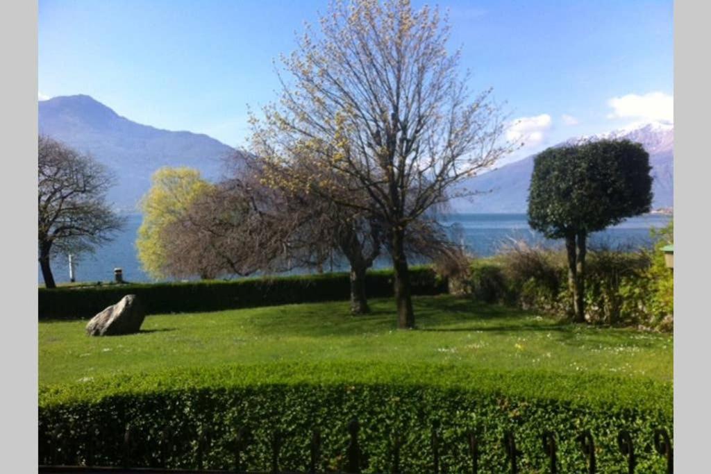 Favoloso Fronte Lago, Apartment Gera Lario