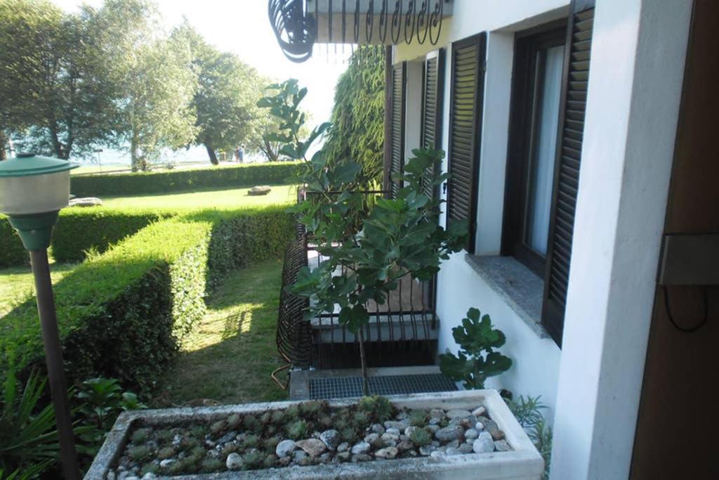 Favoloso Fronte Lago, * Gera Lario