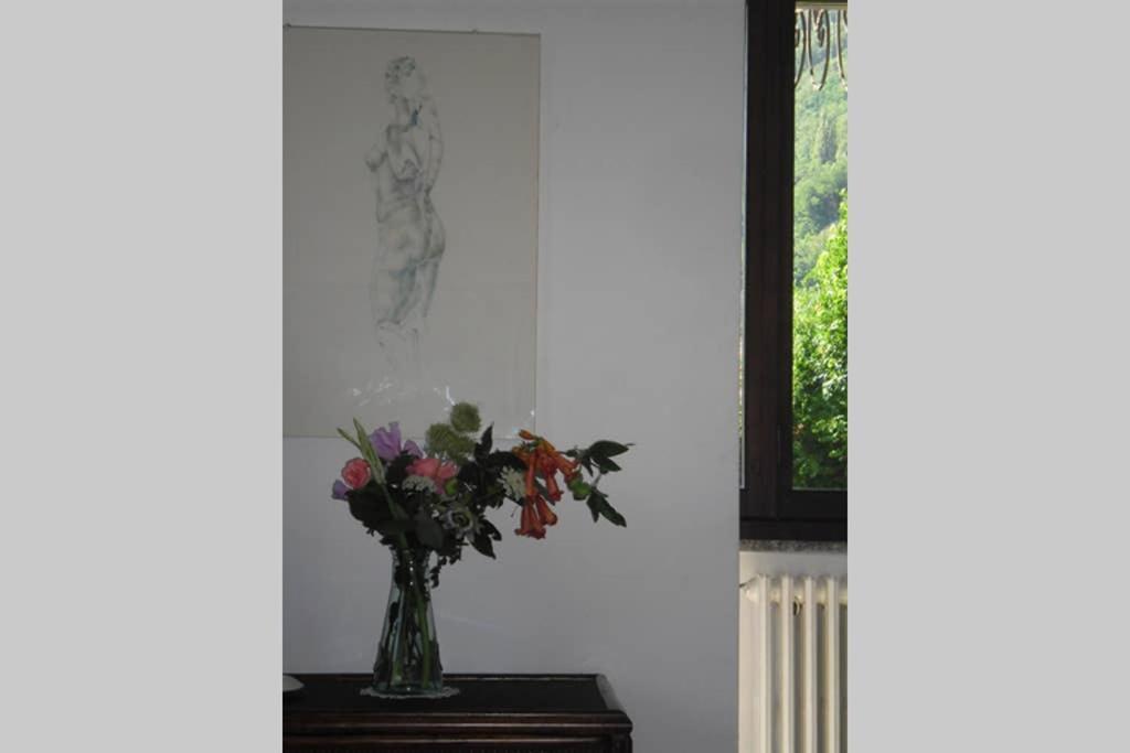 Favoloso Fronte Lago, Apartment