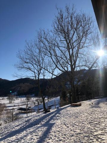 Bed & Breakfast Le Petit Vent