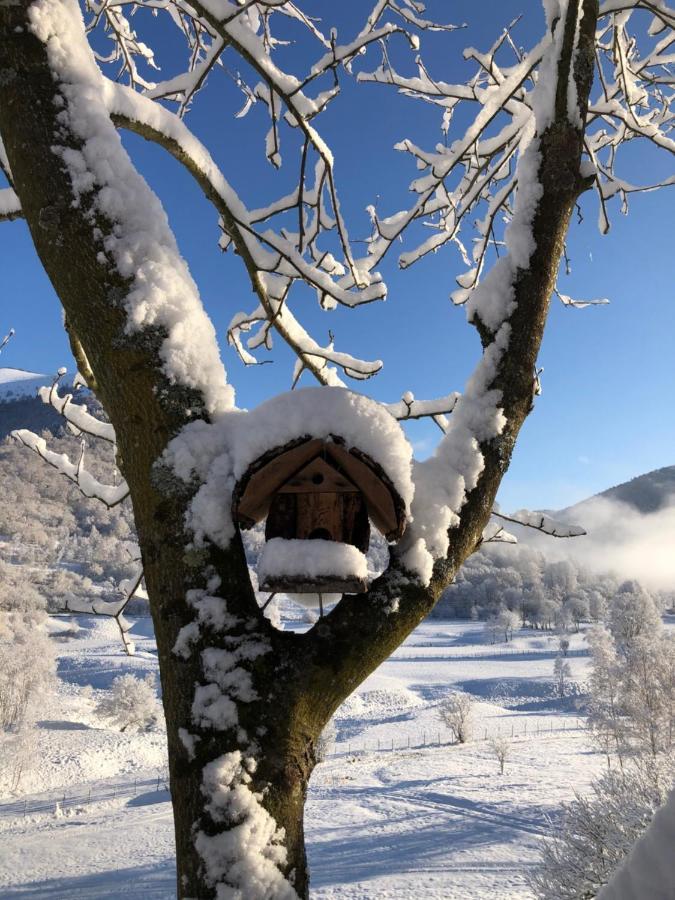 Bed & Breakfast Le Petit Vent Sormano