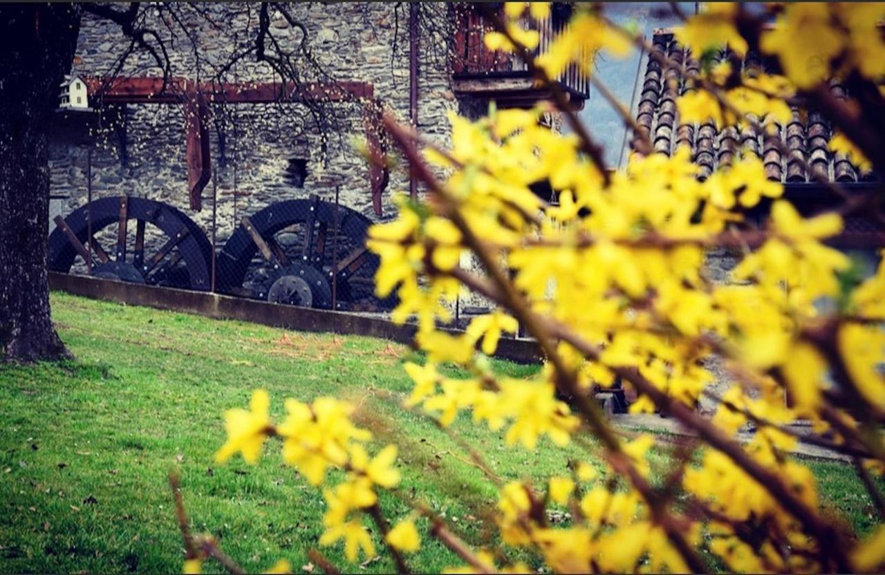Il Granaio - Ancient Molino Maufet Watermill On - Garden View Villa Colico