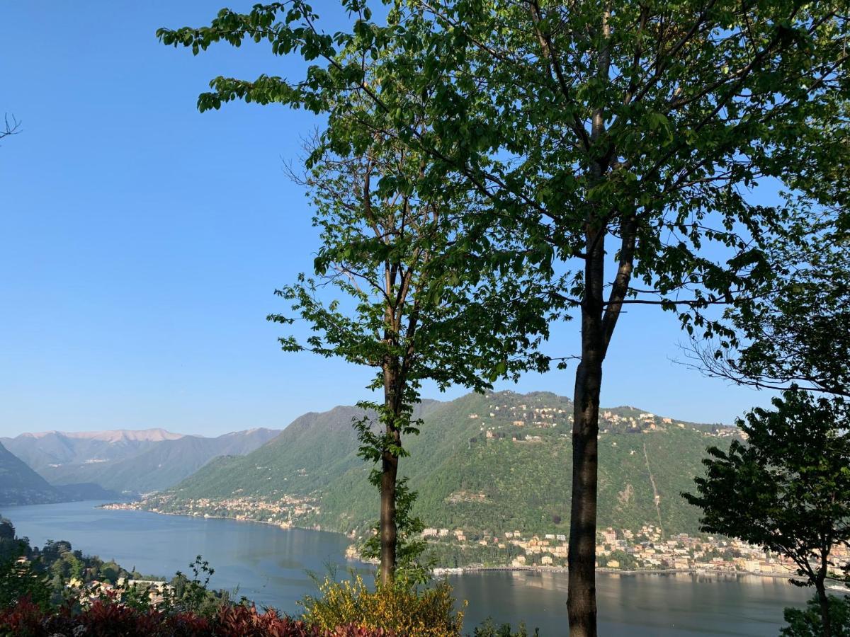 Corti Lakeview * Como